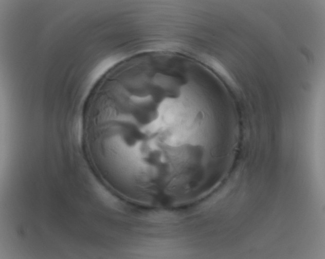 X0000114701079200910211247