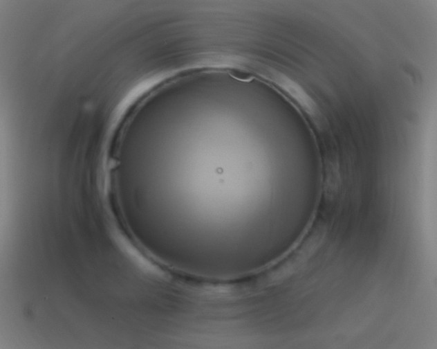 X0000114701080200910211247