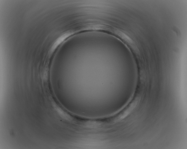 X0000114701081200910211247