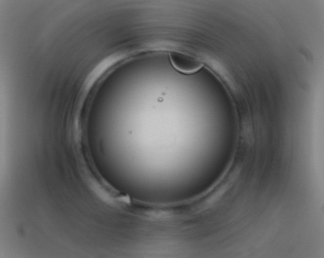 X0000114701082200910211247