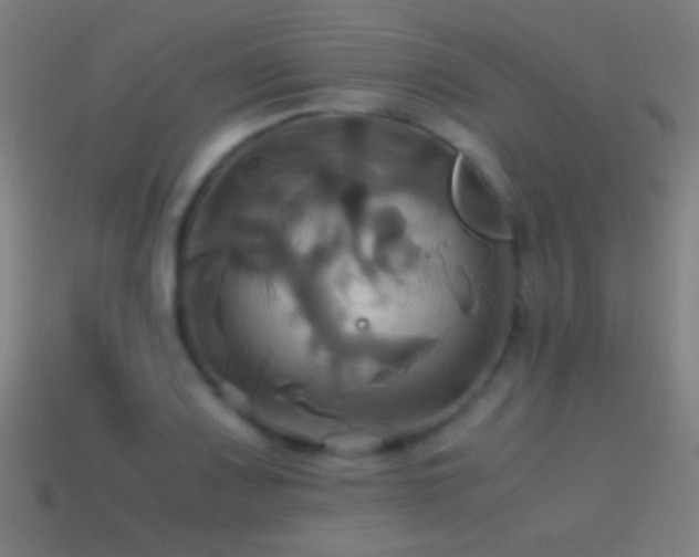 X0000114701083200910211247