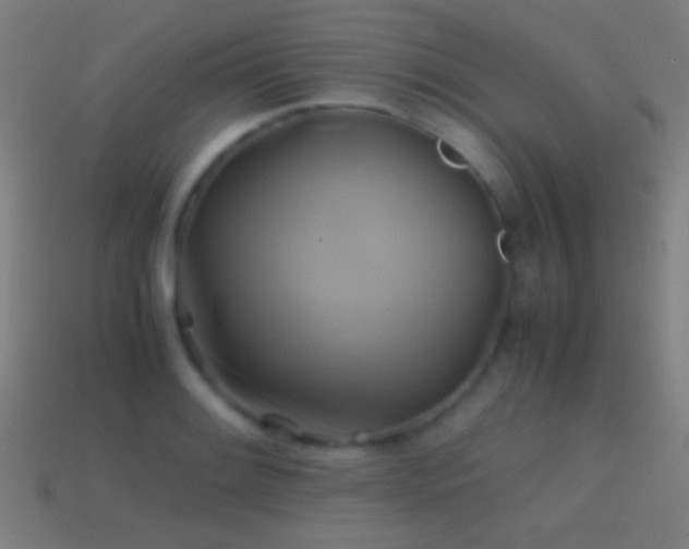 X0000114701084200910211247