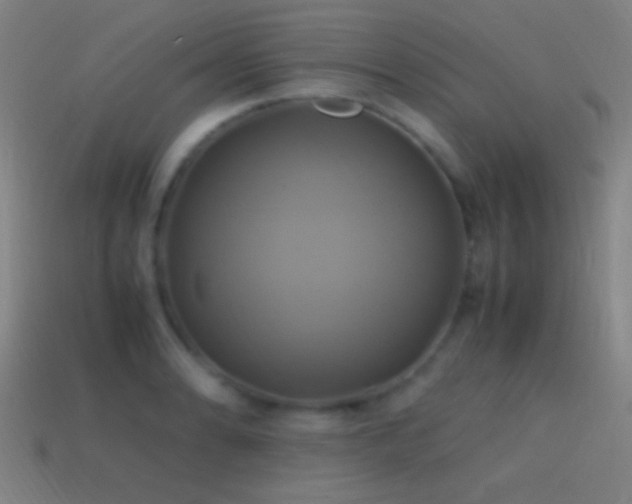 X0000114701086200910211247