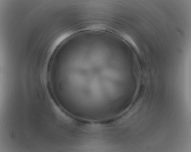 X0000114701087200910211247