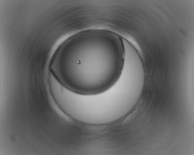 X0000114701088200910211247