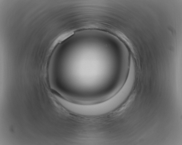 X0000114701089200910211247