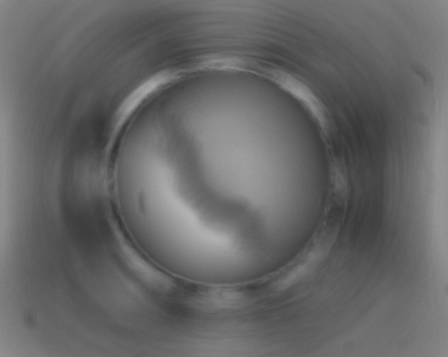 X0000114701090200910211247