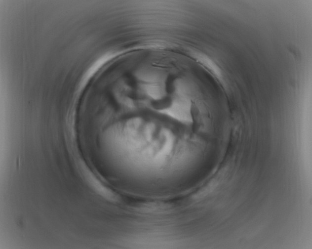 X0000114701091200910211247