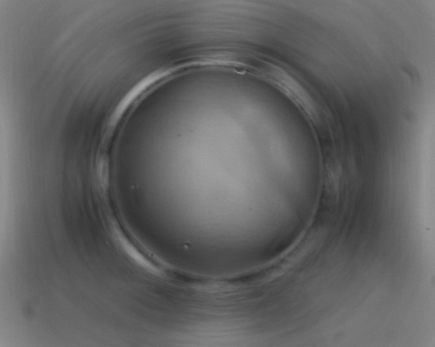 X0000114701092200910211247