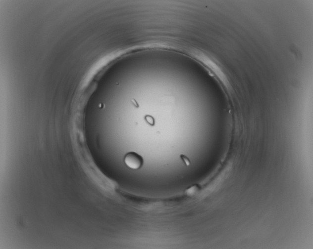 X0000114701093200910211247