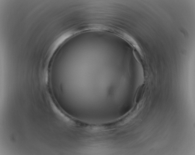 X0000114701095200910211247