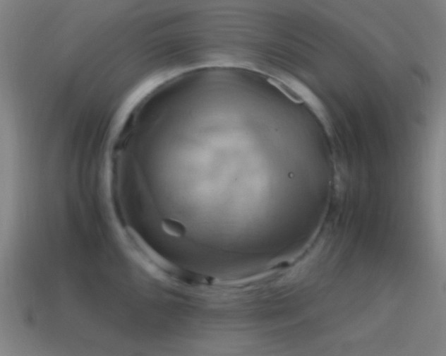 X0000114701096200910211247