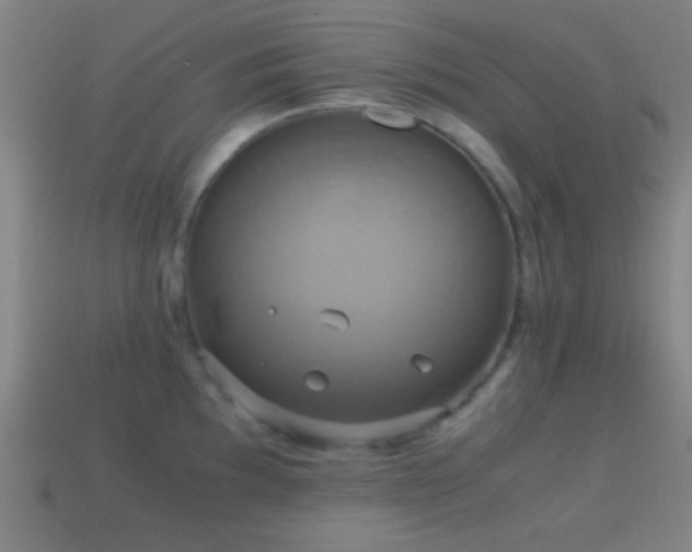 X0000114701097200910211247