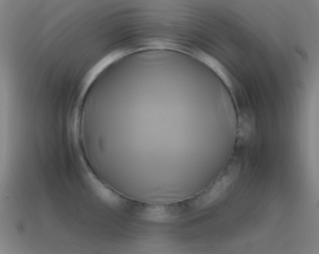 X0000114701098200910211247