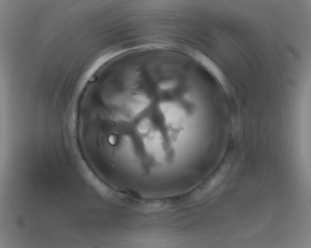 X0000114701099200910211247