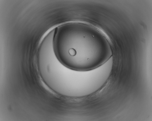 X0000114701100200910211247