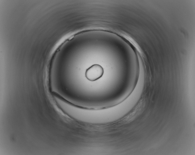 X0000114701101200910211247