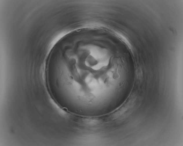 X0000114701103200910211247