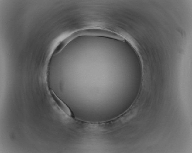 X0000114701104200910211247