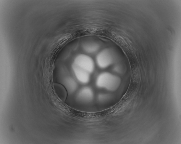 X0000114701105200910211246