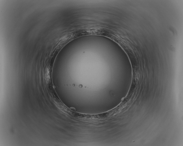 X0000114701106200910211246