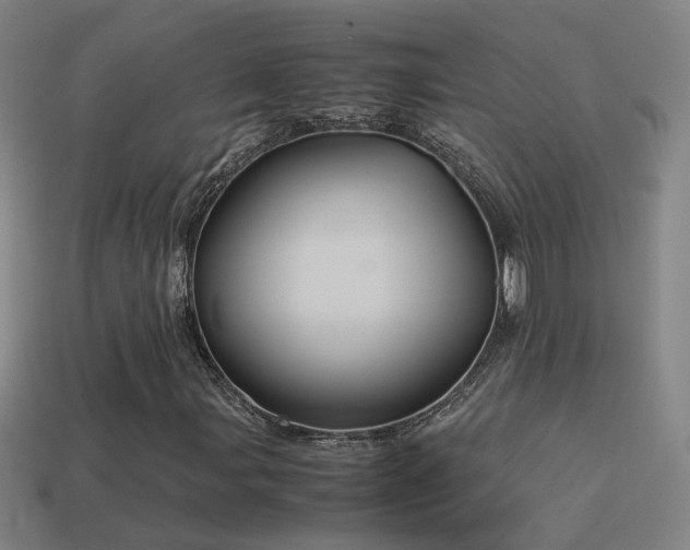 X0000114701107200910211246