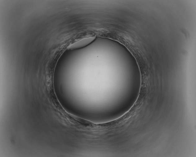 X0000114701109200910211246