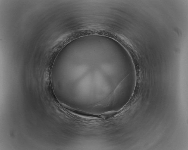 X0000114701110200910211246