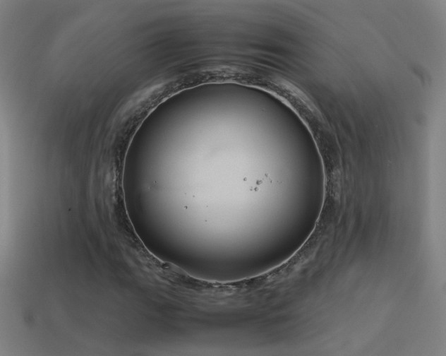 X0000114701111200910211246