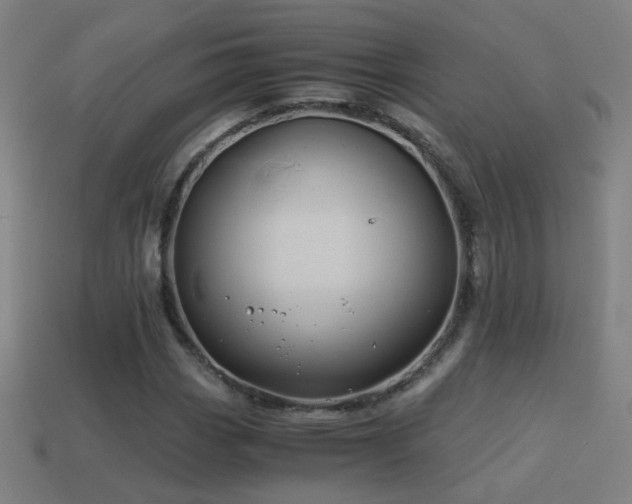 X0000114701113200910211246