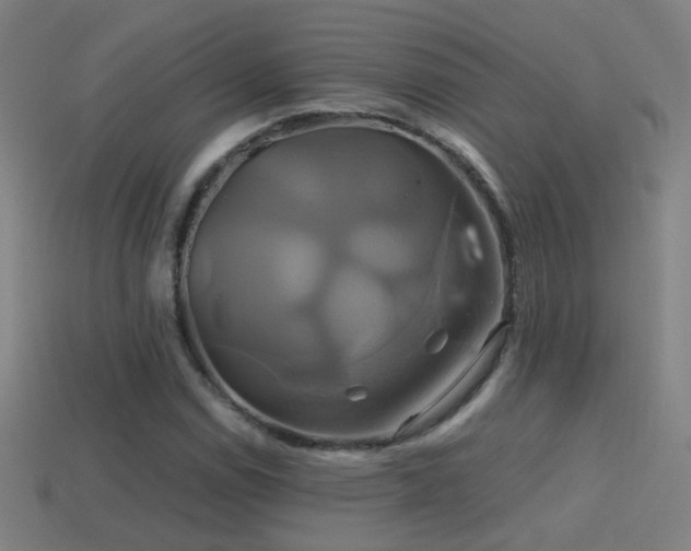 X0000114701114200910211246