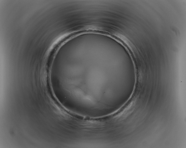 X0000114701115200910211246