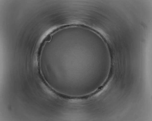 X0000114701118200910211246