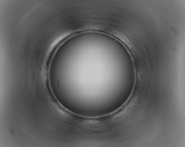 X0000114701119200910211246