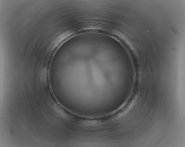 X0000114701121200910211246