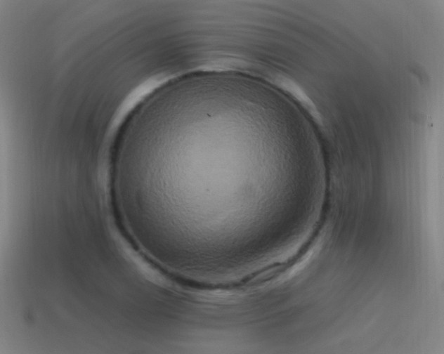 X0000114701122200910211246