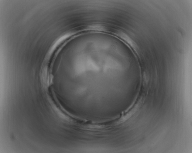 X0000114701123200910211246