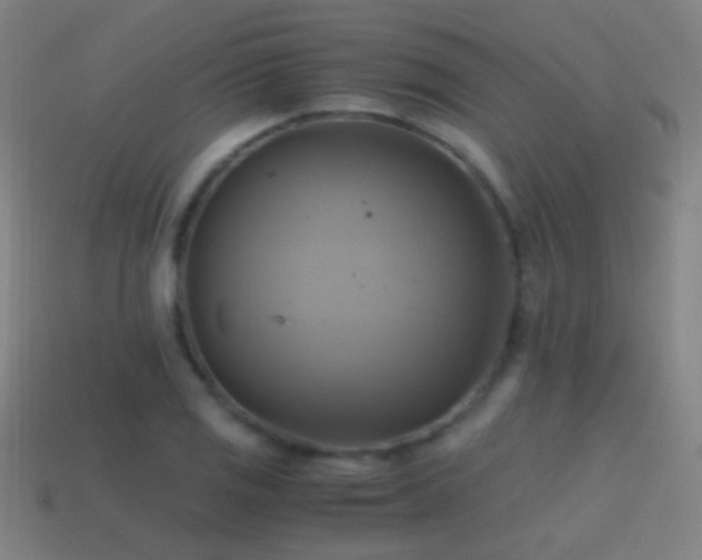 X0000114701125200910211246