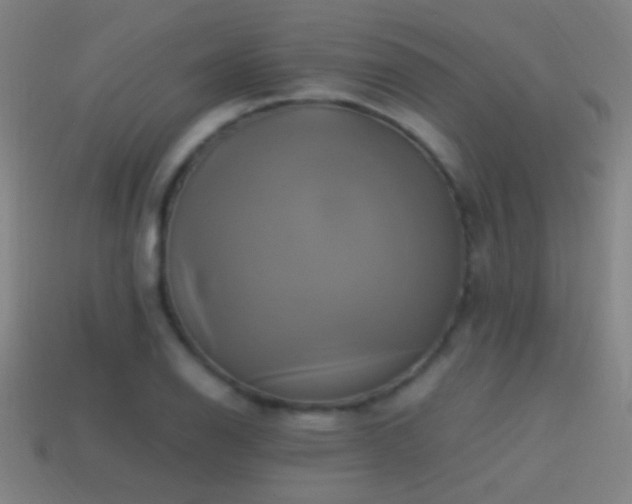 X0000114701126200910211246