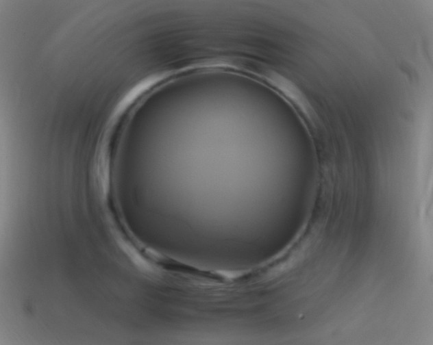 X0000114701127200910211246