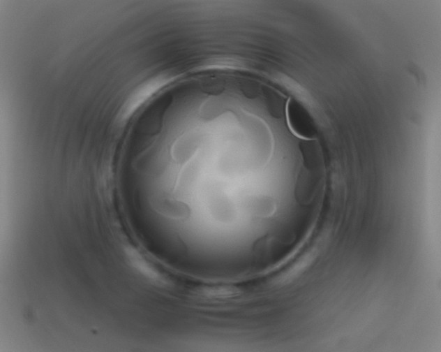 X0000114701129200910211246