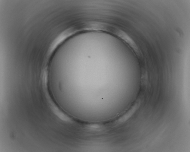 X0000114701130200910211246