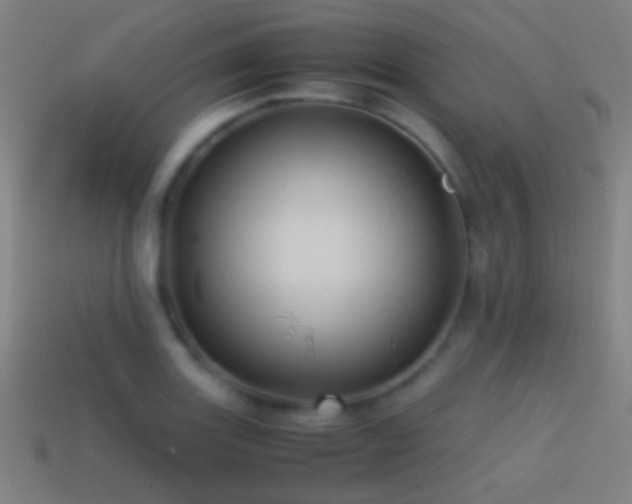 X0000114701131200910211246