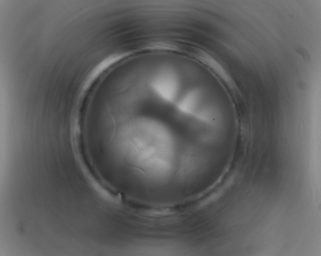 X0000114701133200910211246