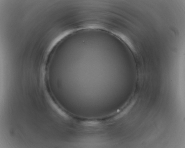 X0000114701134200910211247