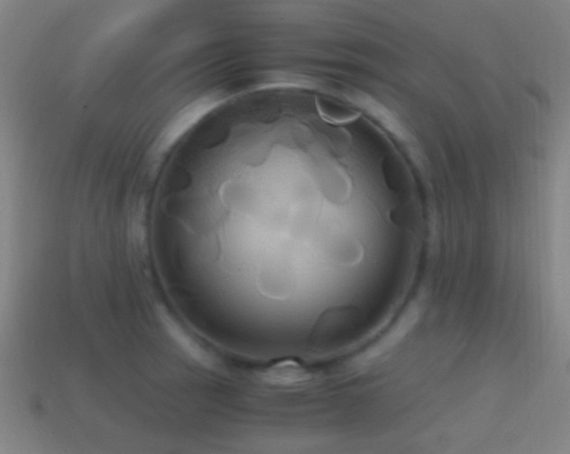 X0000114701137200910211247