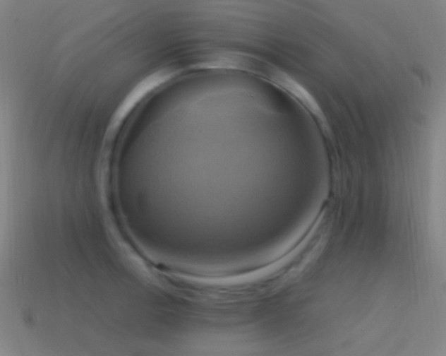 X0000114701138200910211247