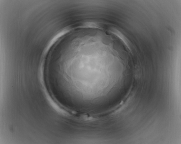 X0000114701139200910211247