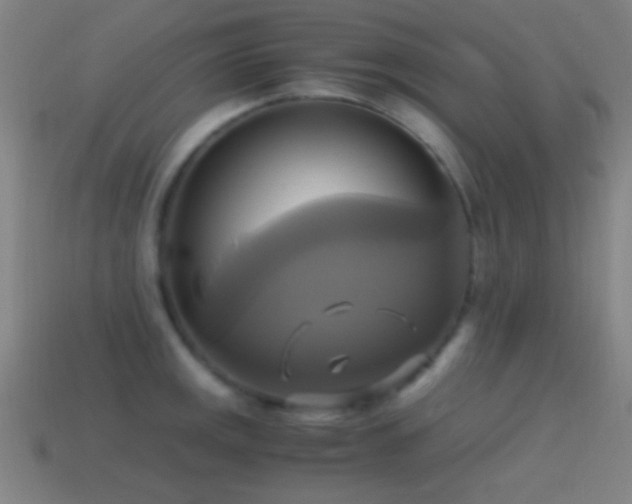 X0000114701141200910211247