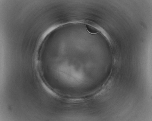 X0000114701143200910211247